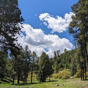 Meet your Posher, Ricardo